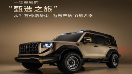 征名送车！红旗越野TOP10命名出炉