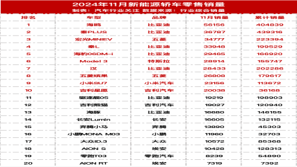  2024年11月新能源车零售销量榜