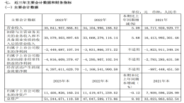 赛力斯年报，再亏48亿