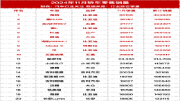 2024年11月轿车零售销量榜