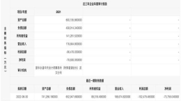 岚图汽车卖一辆车亏损超十万！挂牌融资紧急“输血”