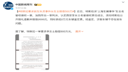订单及商誉损失上亿元！特斯拉：继续起诉上海维权车主