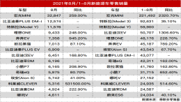 8月新能源车型榜：比亚迪卖疯了，Model 3消失了