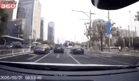 1600753130245306.gif 微信图片_20200922133411.gif